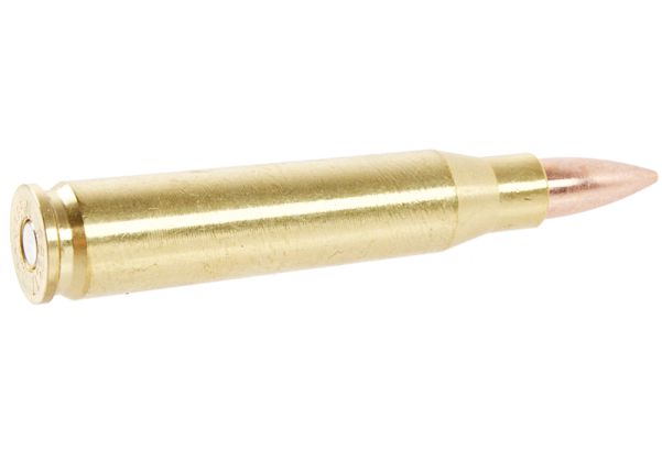 Farsan M4 ダミー弾(1個)