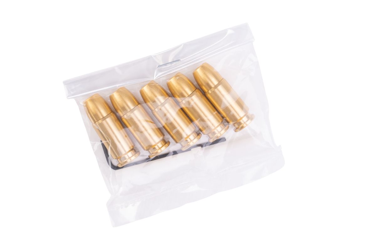 Tanaka SIG P226 レイルフレームEvo リューション2 「ウォーム銀(ぎん)コーティング」 ALL ヘビーウェイトモデルガン