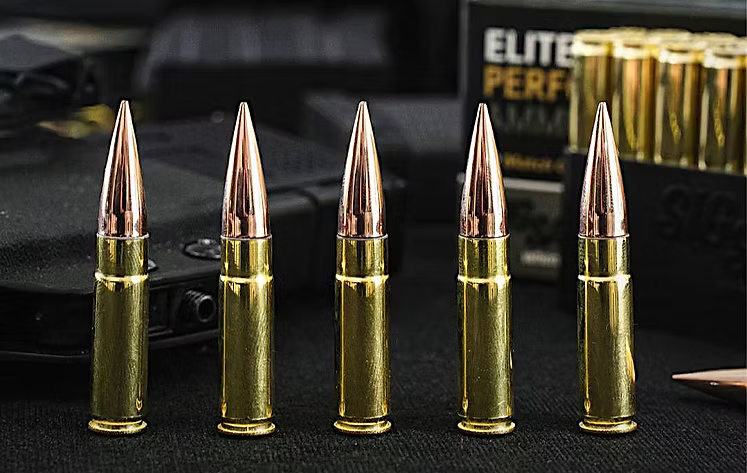 Octopus .300BLK 超音速/亜音速 ABSカートリッジ - 銀(ぎん), Subsonic, パッケージ:2-AIRSOFT GOGO エアガン・サバゲー用品通販