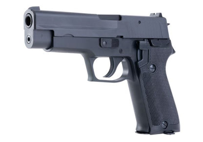 タナカ SIG P220 IC 海上自衛隊 GBB エアソフト ピストル-AIRSOFT GOGO エアガン・サバゲー用品通販
