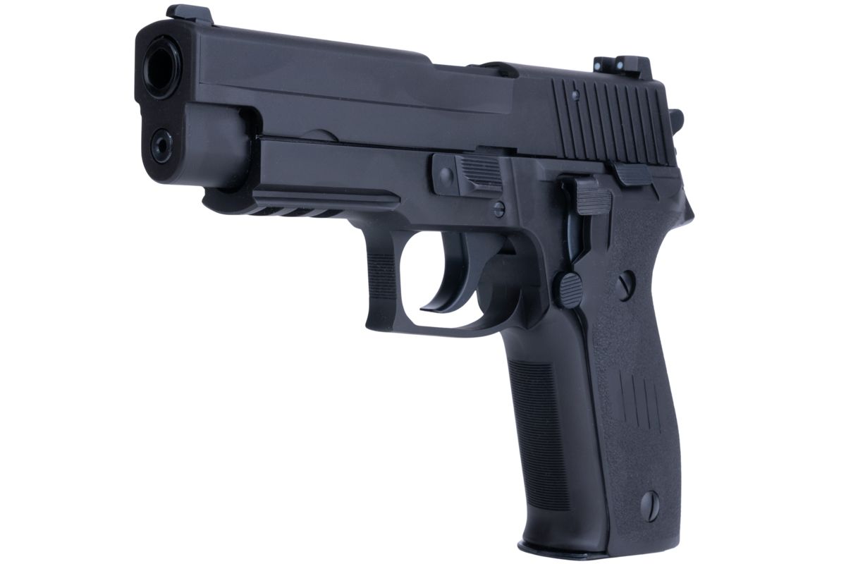 Tanaka Works SIG P226 レイルフレーム エボリューション2 ヘビーウェイト モデルガン-AIRSOFT GOGO エアガン・サバゲー用品通販